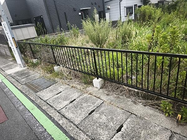 現地写真
