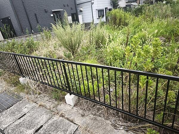 現地写真