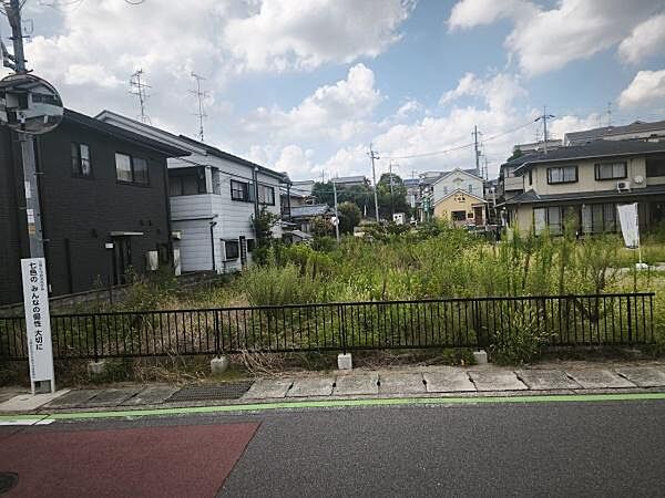 現地写真