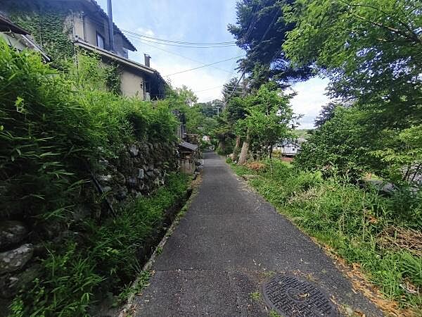 前面道路含む現地写真です！