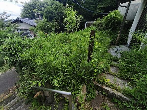 現地写真