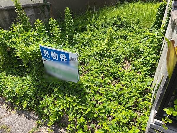 現況更地で即引渡し可能です！