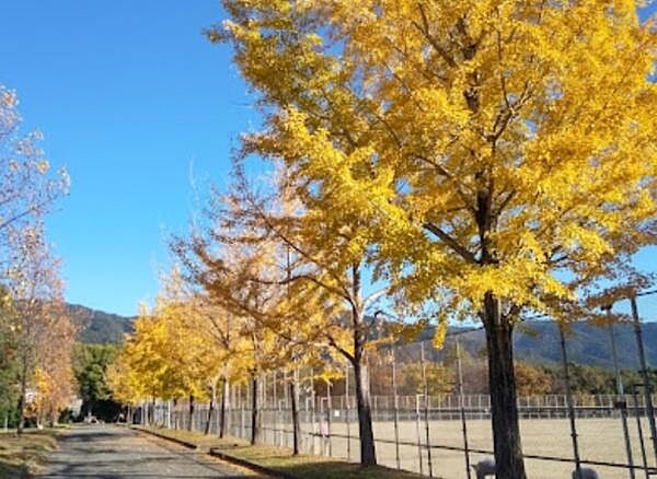 勧修寺公園まで327m