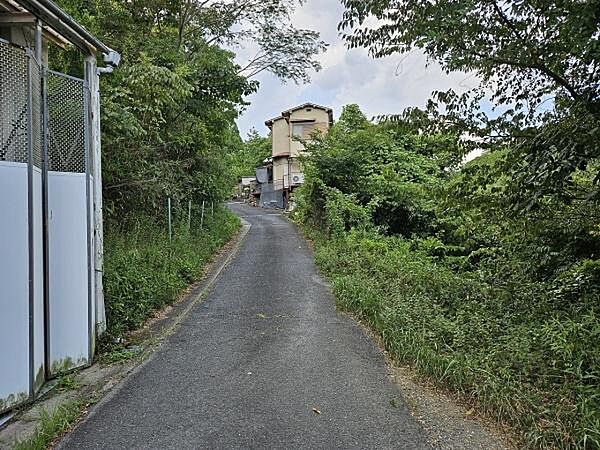 前面道路含む現地写真です！