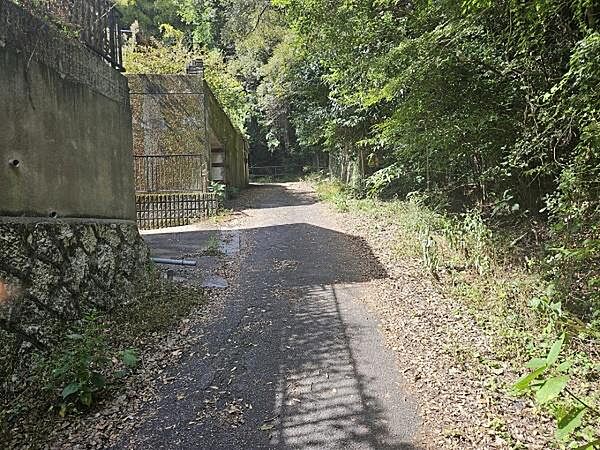 前面道路を含めた現地の様子です！
