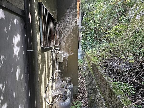 現地写真