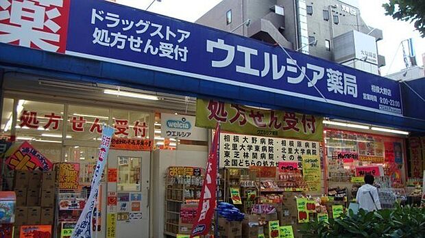 ウエルシア相模大野店まで1718m