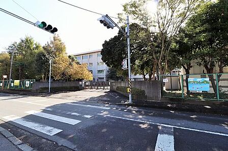 海老名市立中新田小学校まで1234m