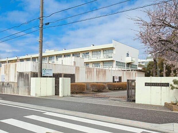 相模原市立若草小学校まで225m