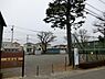 周辺：中村公園まで1121m