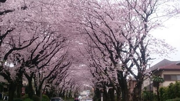 綾西緑地まで323m