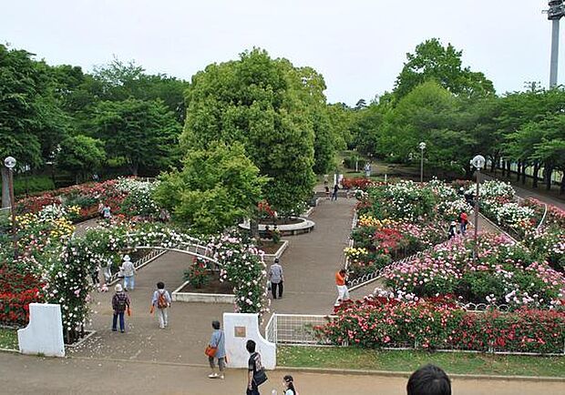 光綾公園まで1017m
