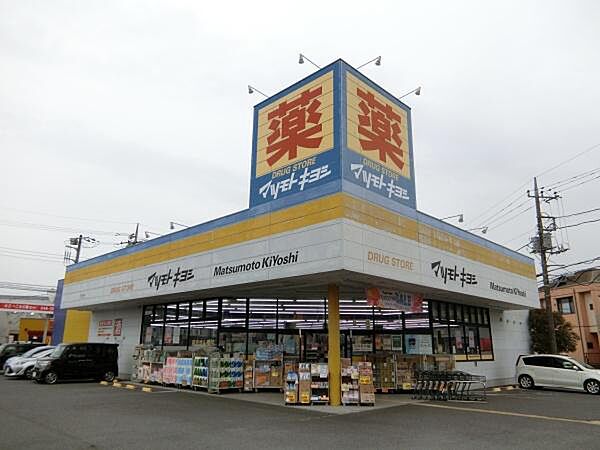 マツモトキヨシ厚木林店まで781m