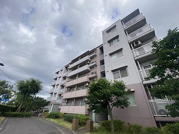 外観：312001302297