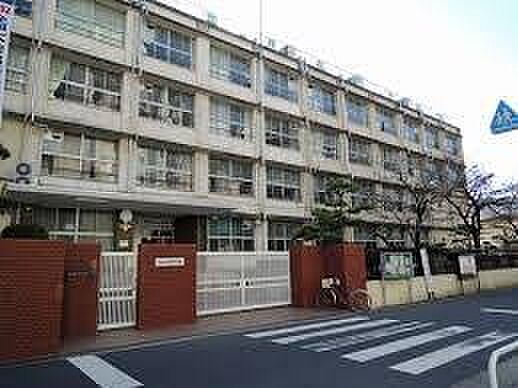 大阪市立井高野中学校まで743m