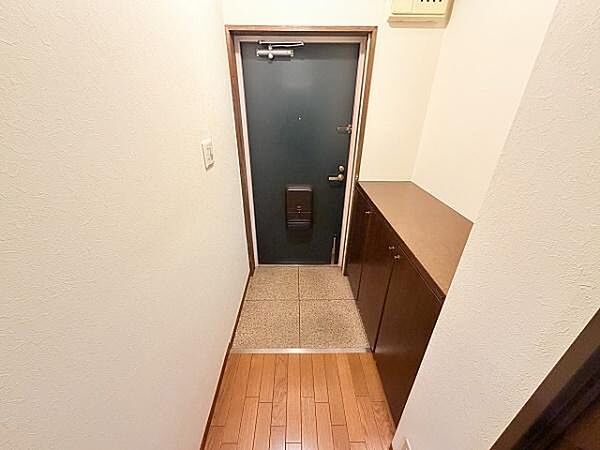 明るい玄関です。気持ちよくゲストをお出迎えできそうですね。