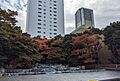 東池袋中央公園...
