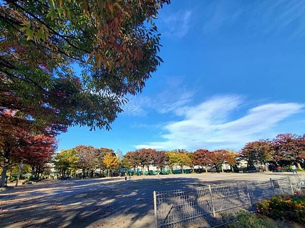 落合中央公園まで1059m