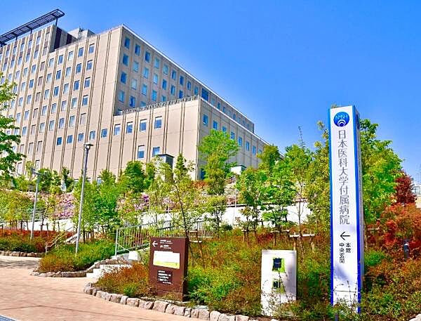 周辺を拡大表示
