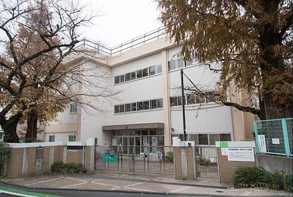 杉並区立松ノ木小学校まで422m