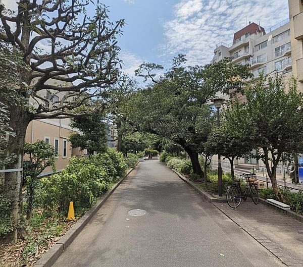 マンション目の前の「西原緑道」！毎日のペットのお散歩コースに良いですね♪