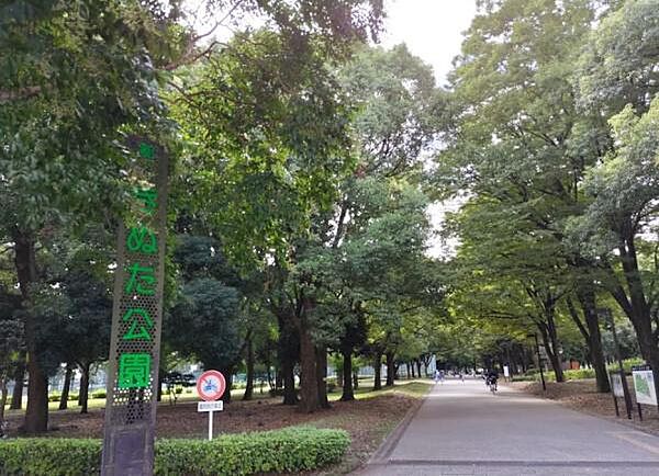 東京都立砧公園まで900m