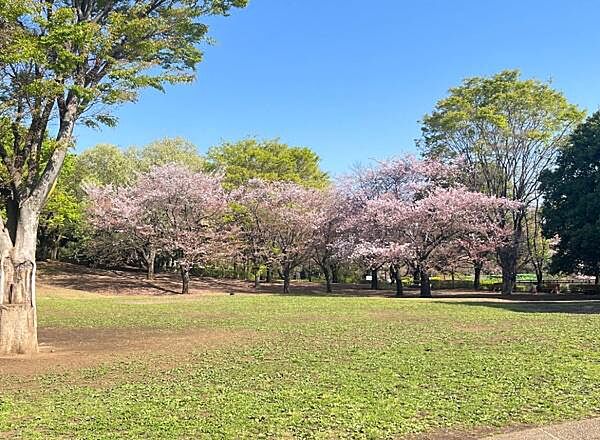 祖師谷公園まで893m