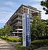 周辺：昭和大学江東豊洲病院まで475m