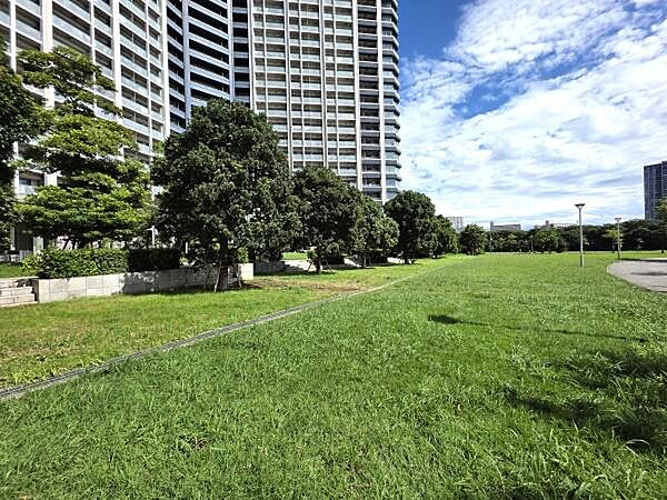 敷地内には緑も豊富。バーベキューテラスも隣接してます