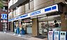 周辺：ローソン広尾南店まで252m