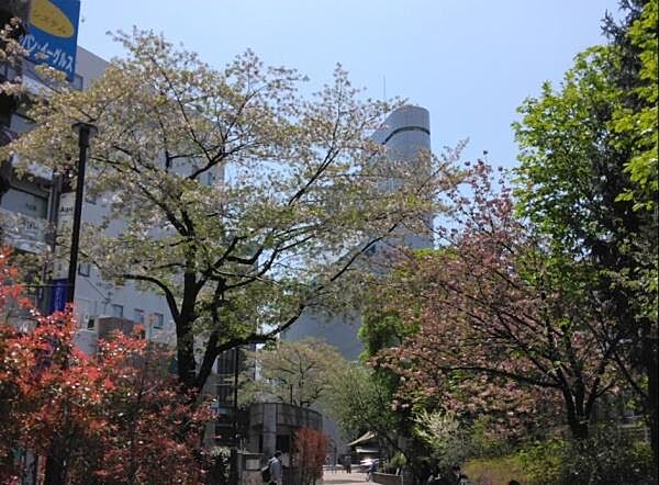 池袋駅前公園まで1000m