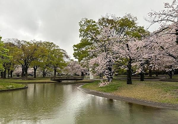 東京都立代々木公園まで652m