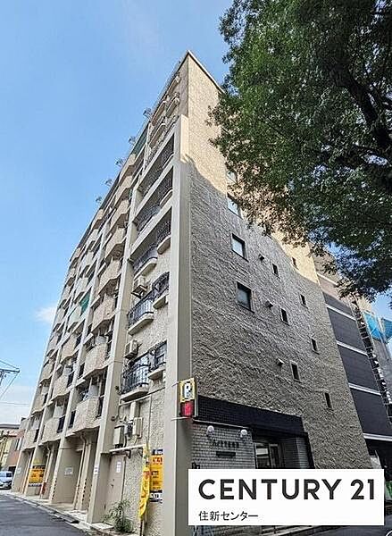 外観：313004928826