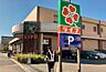 周辺：ライフ上池台店まで240m