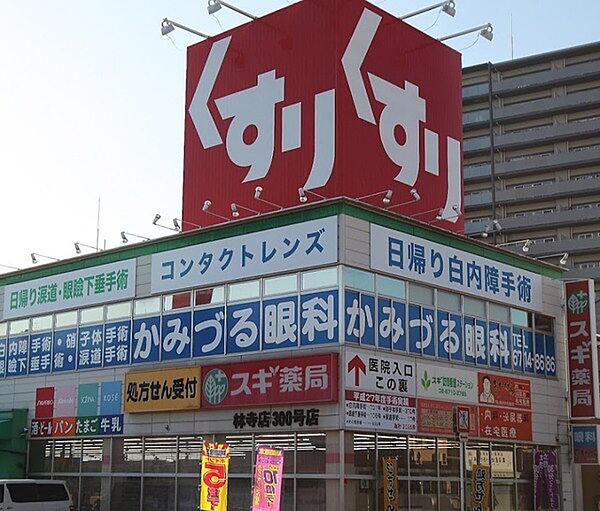 スギ薬局林寺店まで864m