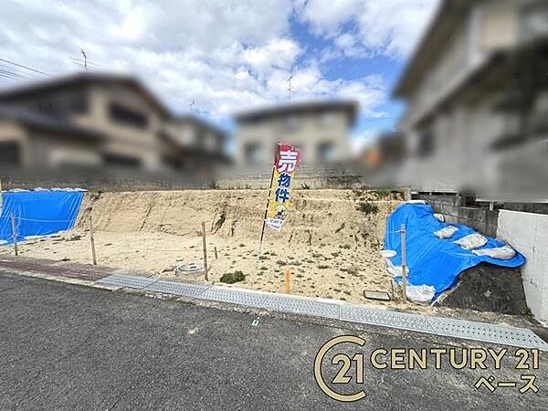 ■現地撮影写真■