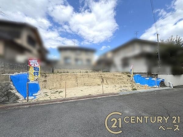 ■現地撮影写真■