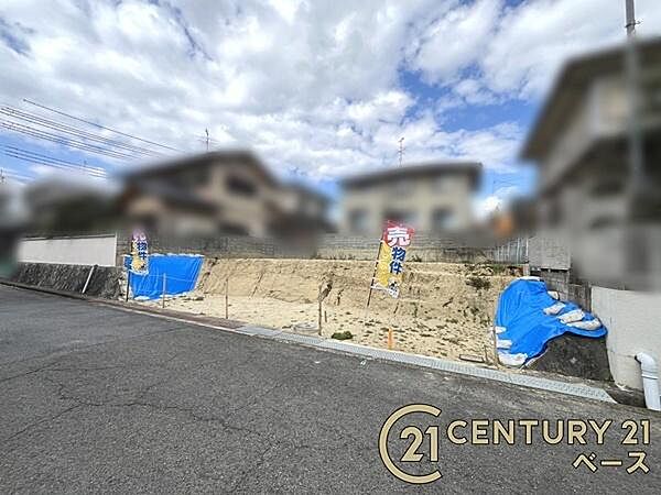 ■現地撮影写真■