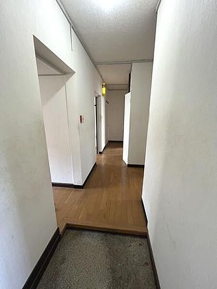 ■現地撮影写真■