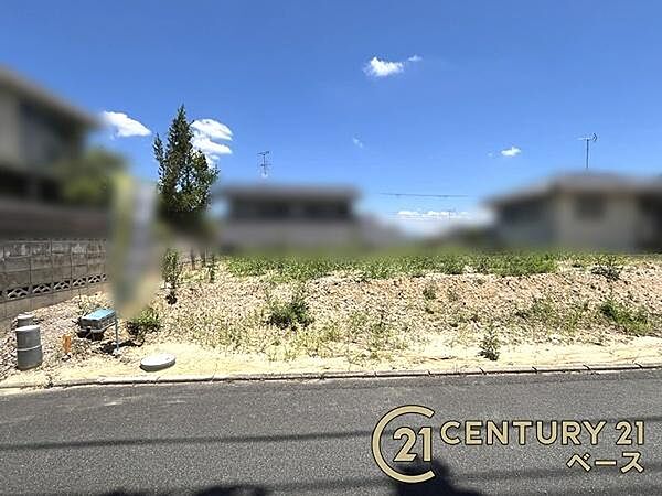 ■現地撮影写真■