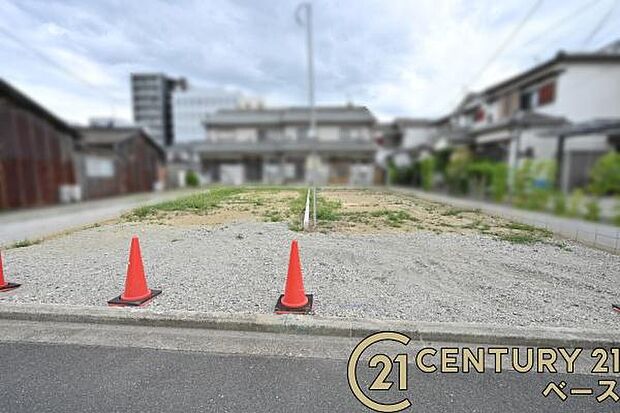 ■現地撮影写真■