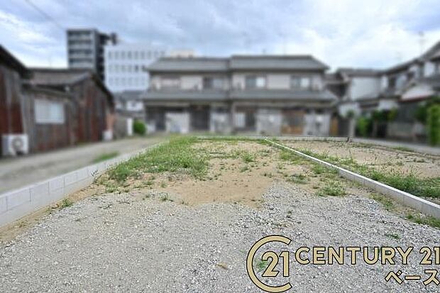 ■現地撮影写真■