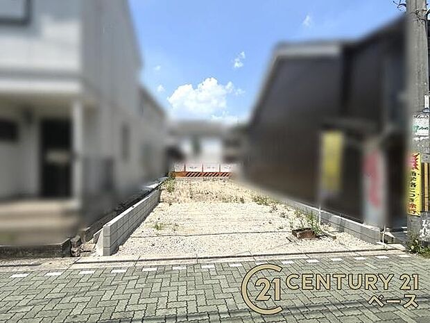■現地撮影写真■