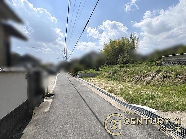 ■現地撮影写真■