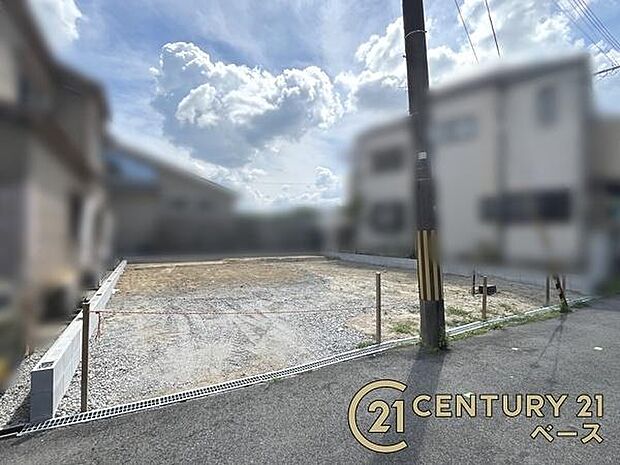■現地撮影写真■