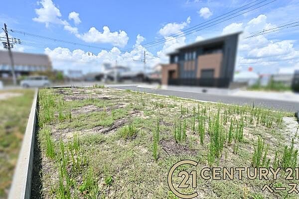 ■現地撮影写真■