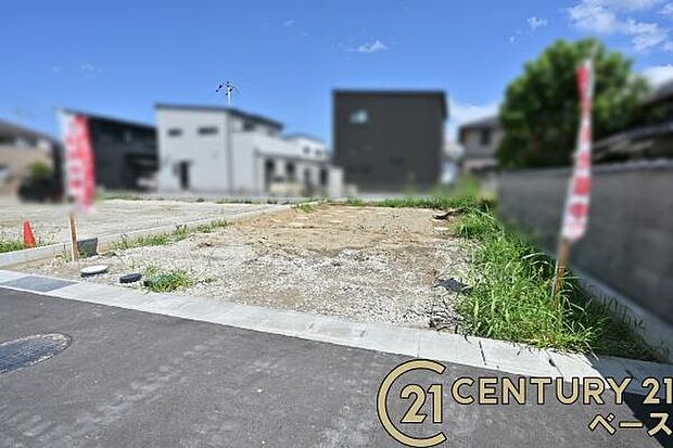 ■現地撮影写真■