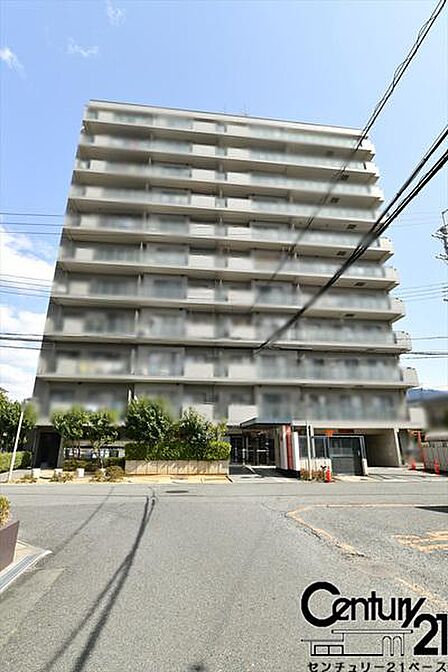 ■現地撮影写真■スーパーなど商業施設が近接した嬉しい生活環境!