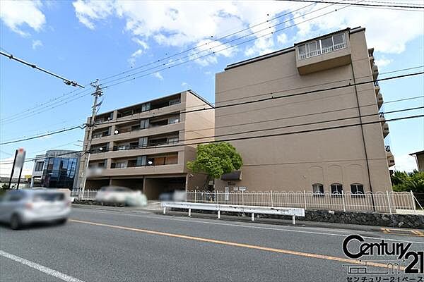 ■現地撮影写真■