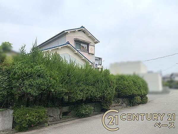 ■現地撮影写真■